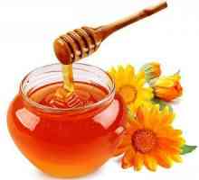 Sadržaj kalorija meda u 1 čajnu žličicu i njegov sastav
