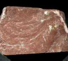 Stone lemsit - jedinstveni prirodni materijal