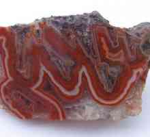 Kameni ružičasti agat: tko se uklapa, čarobna svojstva, znak zodijaka