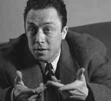 Camus, "Stranger": kratak sažetak. Albert Camus, "Stranger": analiza