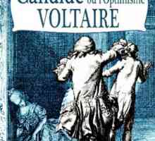 `Candid` Voltaire: analiza rada, glavna ideja i ideja. Candide, ili Optimizam:…