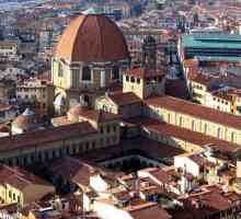 Kapela Medici, Michelangelo: opis i fotografija