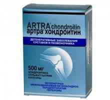 Kapsule `Artra Chondroitin`: upute za uporabu, analozi