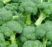 Brokula kupus: dobro i loše