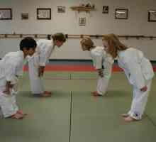 Karate: prijeme za početnike. Tehnike, naslovi i opisi