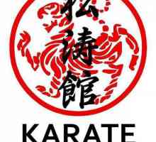 Karate Setokan: jedan od osnovnih stilova japanskog karata