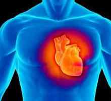 Kardiomiopatija je ... Dormonska i dismetabolička kardiomiopatija
