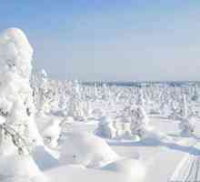 Zimska Karelia: razgledavanje, rekreacija, priroda i recenzije