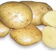 Krumpir Karatop: osobitosti uzgoja