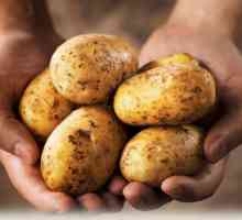 Dijeta za krumpir za mršavljenje: izbornici, recepti, recenzije i rezultati