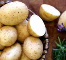 Pire od krumpira: recept s mlijekom i jaje, kuhanje i recenzije