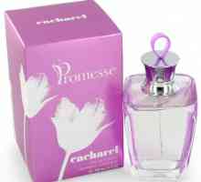 `Kasharel Promis` - WC vode i parfema: opis mirisa