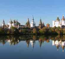 Klizalište u parku Izmaylovsky: fotografija, adresa, recenzije