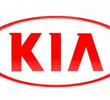 `Kia-Ryo`: tehničke specifikacije, povijest modela i recenzije