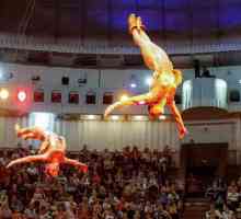 Kijev Cirkus: povijest takve prekrasne zabave u glavnom gradu Ukrajine