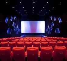 Kino Vladimira: pregled i opis