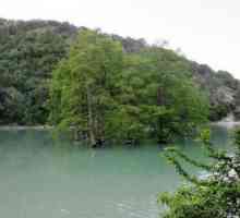 Cypress Lake (Sukko): opis, značajke, fotografija