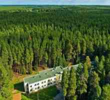 Kirov, Pine Forest (sanatorium): opis, usluge, kontakti i mišljenja