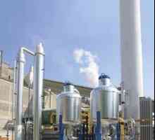 Plinoviti plinovi kisika: karakteristike i ocjene