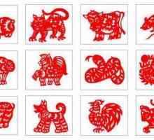 Kineski Zodijak Znakovi: Karakteristike