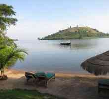 Kivu je jezero u Africi