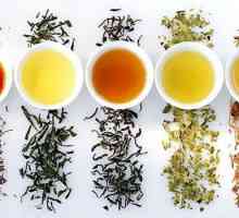 Klasifikacija čaja različitim parametrima. Vrste, karakteristike i proizvođači čaja