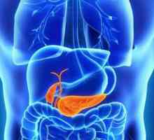 Razvrstavanje kroničnog pankreatitisa i njegovog oblika