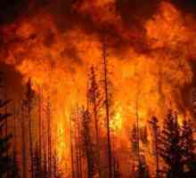 Razredi opasnosti od požara u šumama. Naredba Savezne šumarske agencije od 5. srpnja 2011. br. 287…