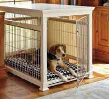 Kavez za pse u stanu. Kako privući psa u stan u kavez?