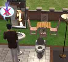 Kôd razvojnog programera za `Sims 2`: značajke