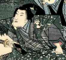Šifra Bushida - čast i život samuraja. Povijest Bushido koda