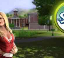 Trikovi za `The Sims 3` za novac: kako se obogatiti bez ikakvih problema?