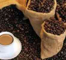 Kava `` Lyuvak` - najskuplji i dvosmislen u svijetu kave