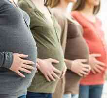 Kada se posteljica formira tijekom trudnoće, normu i patologiju razvoja