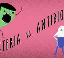Kada djeluje antibiotik? Antibiotici širokog spektra djelovanja nove generacije