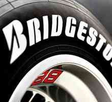 Bridgestone kotači: vrste, karakteristike, recenzije