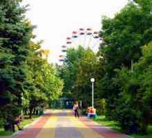 Veliki kotač (Lazarevskoe): visina, recenzije. Gradski zabavni park u Lazarevskom