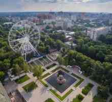 Ferrisovo kolo na Rostovu `Nebeski `, u parku revolucije