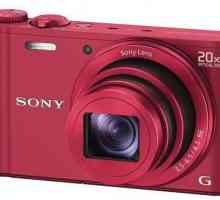 Kompaktan fotoaparat tvrtke Sony Cyber ​​Shot: specifikacije, postavke i recenzije