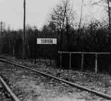 Koncentracijski kamp Sobibor: povijest. Izbjegnite zatvorenike iz koncentracijskog logora Sobibor