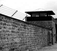 Mauthausen koncentracijski kamp u Austriji: fotografija. Zatvorenici koncentracijskog logora…
