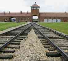 Koncentracijski kamp Auschwitz: pokusi na ženama. Josef Mengele. Povijest Auschwitza