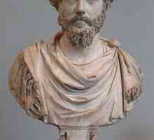 Konjanički kip Marcus Aureliusa: opis