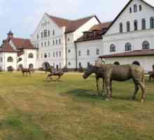 Konj park `Rus `- mjesto oživljavanja tradicije ruskog uzgoja konja i zabave za cijelu…