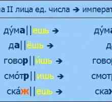 Konstruktivni elementi na ruskom jeziku. Temelj riječi