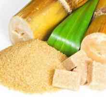 Smeđi šećer od šećerne trske: šteta i koristi, kaloričnost i primjena