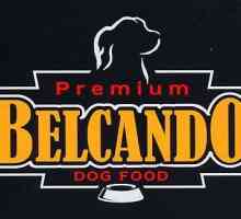 Belcando hrana za pse: korisna svojstva, cijena, vlasnik recenzije