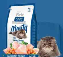 Feed Brit za mačke: pregled, recenzije veterinara