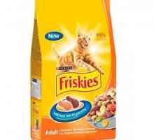 Mačka hrana `Friskis`: recenzije i savjeti