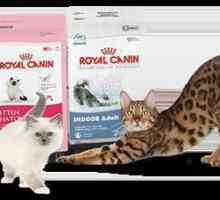 Hrana za mačke, mačke i mačiće: pregled, vrsta, proizvođači i recenzije